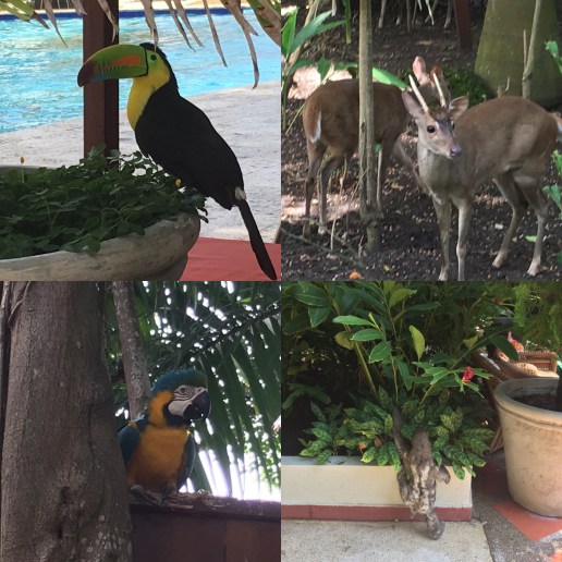 C910FC5B-8671-470A-8FA7-B71D68CF4671